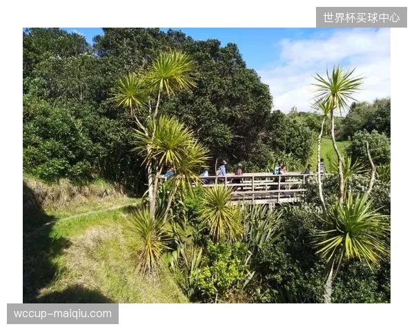 比利时队若选择东海岸基地，将面临高湿度对球员体能的消耗。