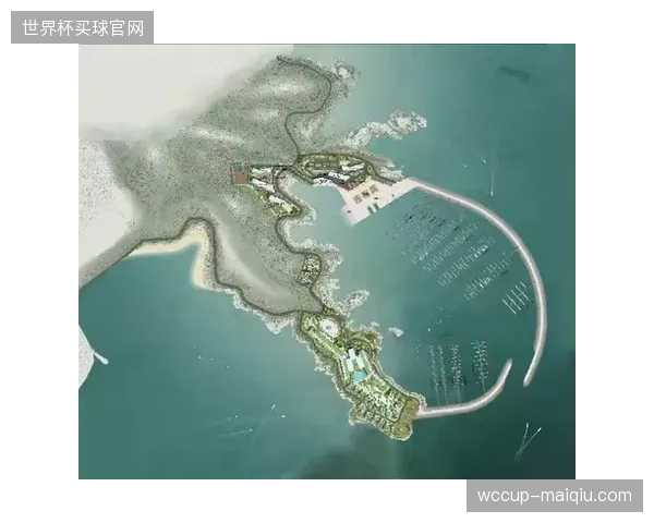 过度全景数据图形解析剥夺了高级别竞技体育战术隐蔽性